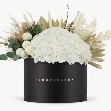 faces beirut black box x large