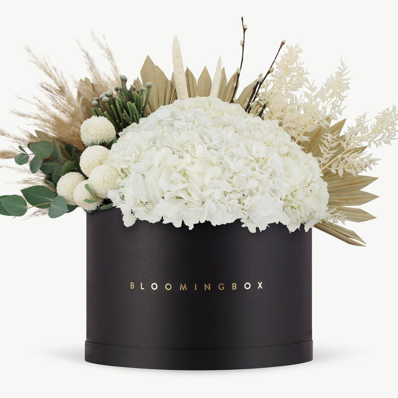 bloomingbox beirut black box xlarge