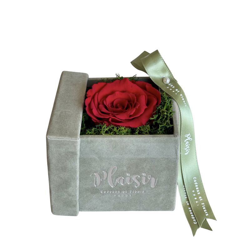 plaisir cadeaux et fleurs forever rose infinity single