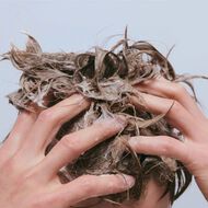 faces common ground scalp shampoo