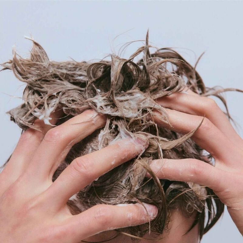 evo common ground scalp shampoo