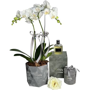 faces giftset   pour homme cologne  orchids   chocolates