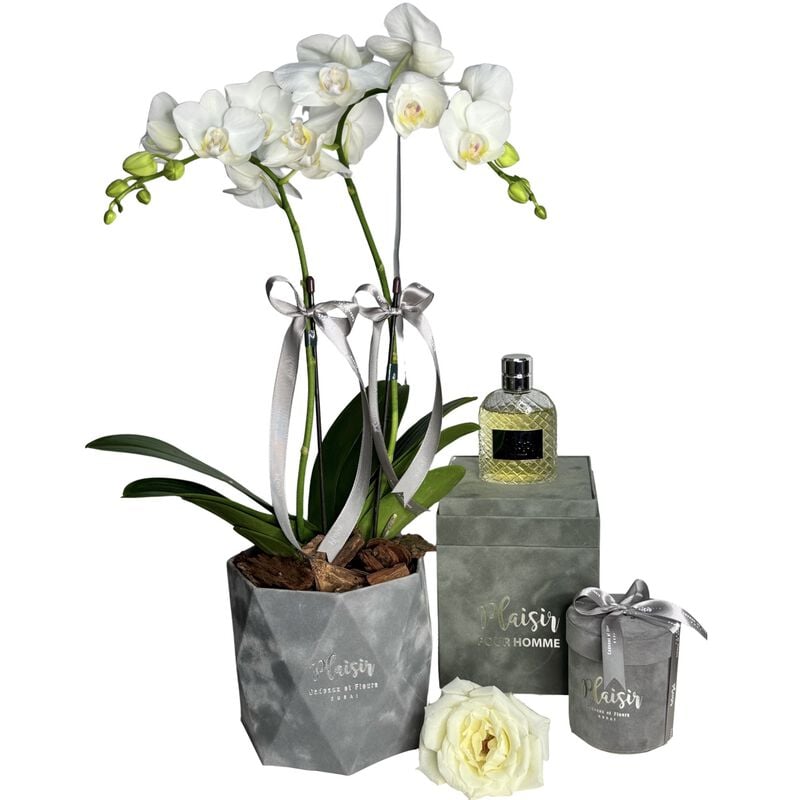 plaisir cadeaux et fleurs giftset pour homme cologne, orchids & chocolates