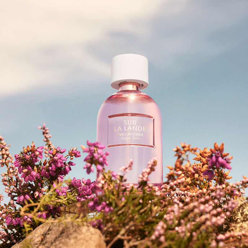 yves rocher sur la lande