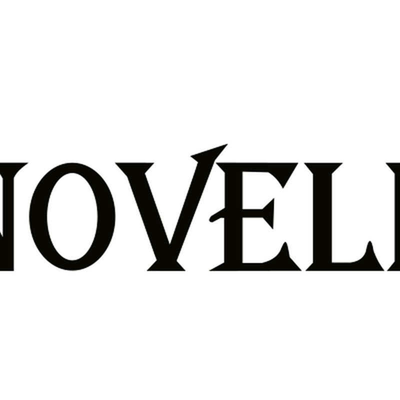 novell wax heater wh001a