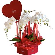 faces velvet heart box   luxury orchid giftset