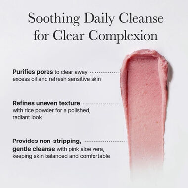 faces fresh rosehip rice mochi cleanser