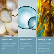 faces كريم الترطيب المجدّد