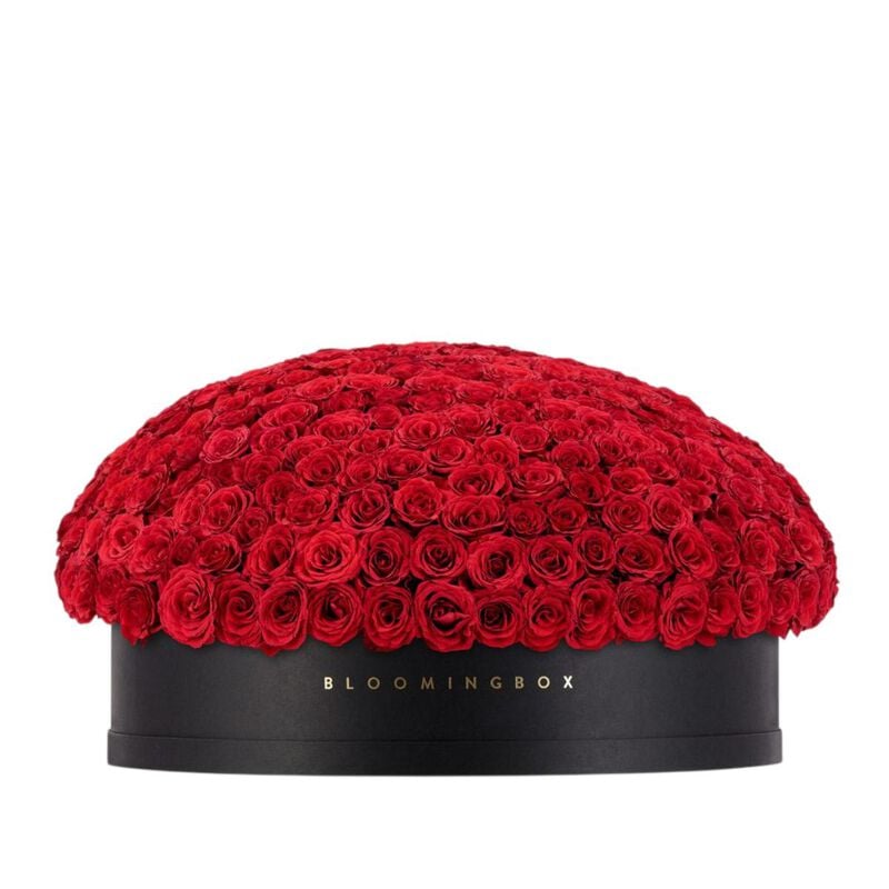 bloomingbox rose box mega