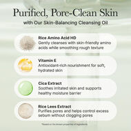 Pore Melt Mochi Cleansing Oil faces pore melt mochi cleansing oil
