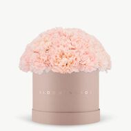 Pink Carnation Blush Box Medium faces pink carnation blush box medium