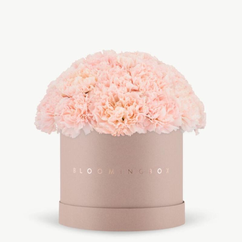 bloomingbox pink carnation blush box medium