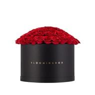 faces rose box x large