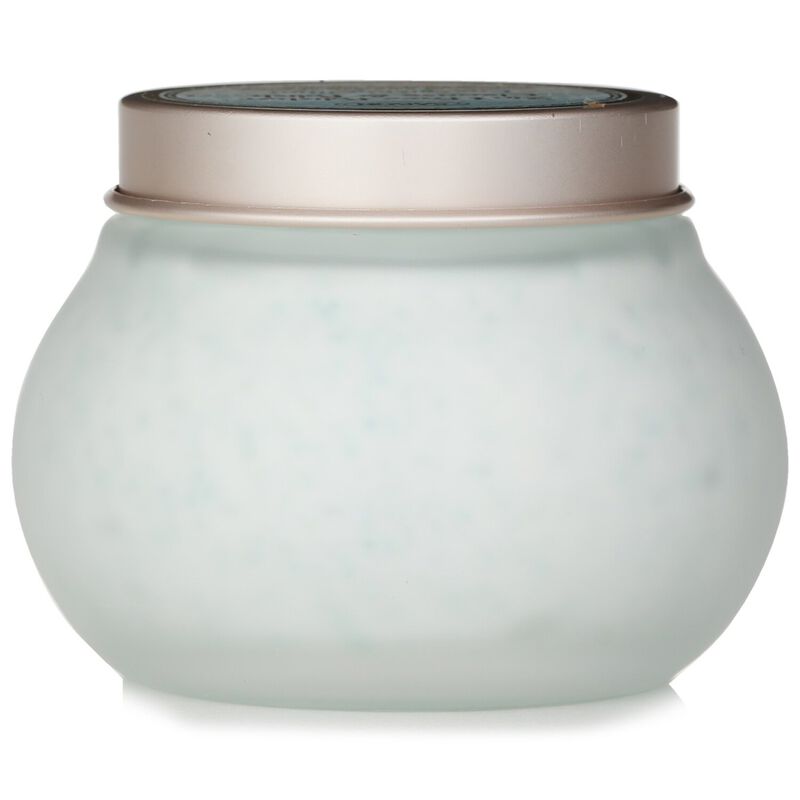 sabon 2 in 1 face polisher energizing mint face polisher
