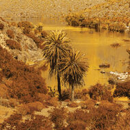 faces argan   rose petals perfumed body and hair mist