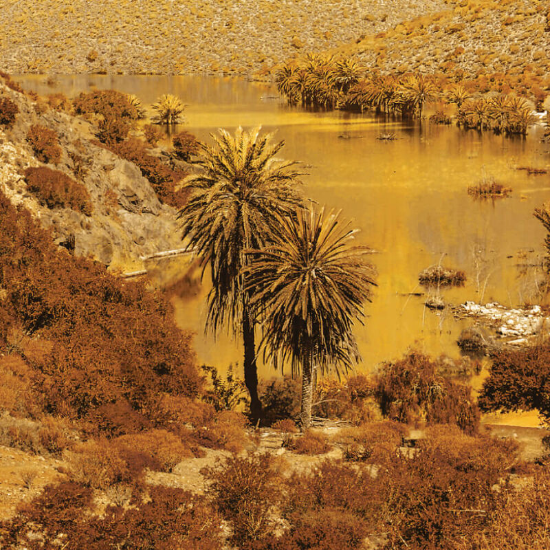 yves rocher argan & rose petals perfumed body and hair mist