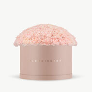 faces pink carnations blush box x large