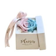 Forever Rose Infinity - Single faces forever rose infinity single