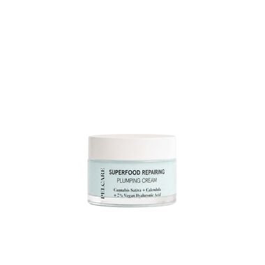 Superfood Repairing Plumping Cream faces superfood repairing plumping cream