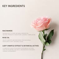 Rose Super-Antioxidant Serum faces rose super antioxidant serum