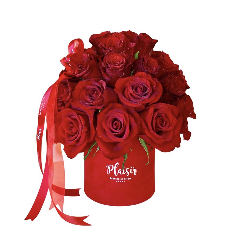 plaisir cadeaux et fleurs velvet cylinder mini  red garden rose dome