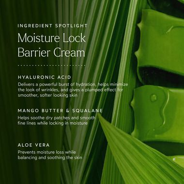 faces moisture lock overnight mask