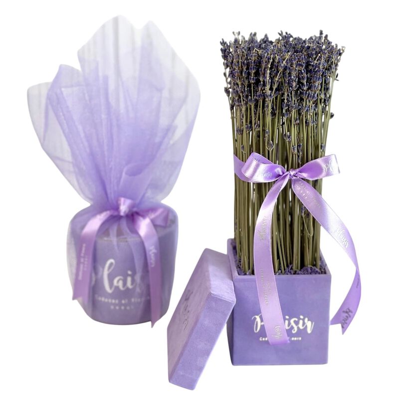 plaisir cadeaux et fleurs giftset  lavender velvet and scented candle