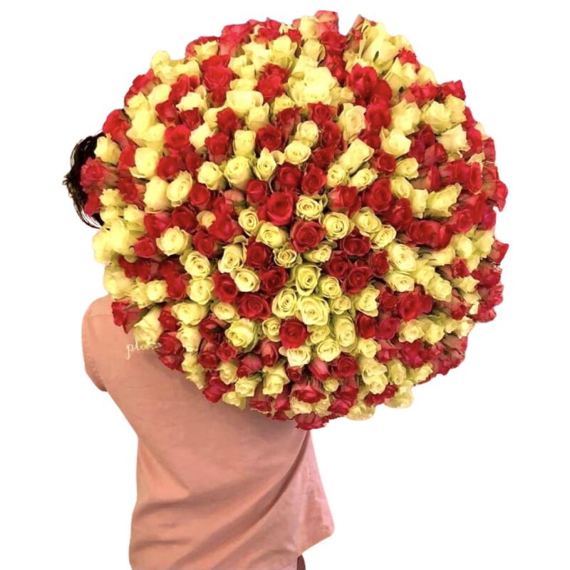 plaisir cadeaux et fleurs handtied bouquet 251 mix coloured roses
