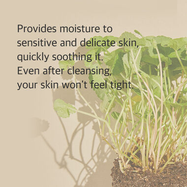 faces centella cleansing foam
