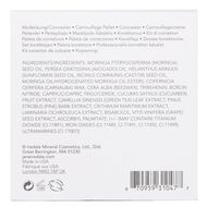 Corrective Colors Kit faces corrective colors kit