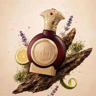 عطر جي سي سي faces عطر جي سي سي