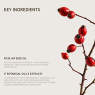 faces antioxidant brightening oil