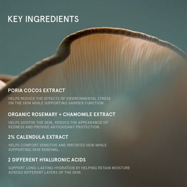 Superfood Repairing Plumping Cream faces superfood repairing plumping cream