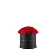 Rose Box Medium faces rose box medium
