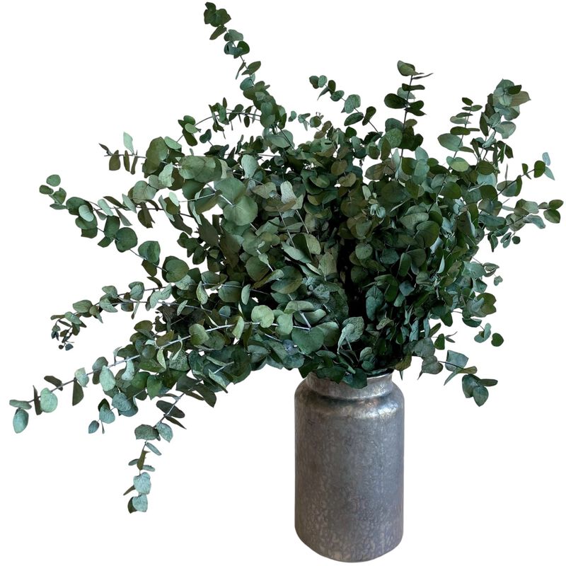 plaisir cadeaux et fleurs vase infinity eucalyptus medium royal silver