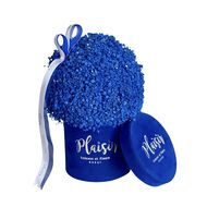 faces velvet gypso   royal blue