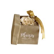 Giftset - Freesia Fragrance and Single Infinity faces giftset freesia fragrance and single infinity