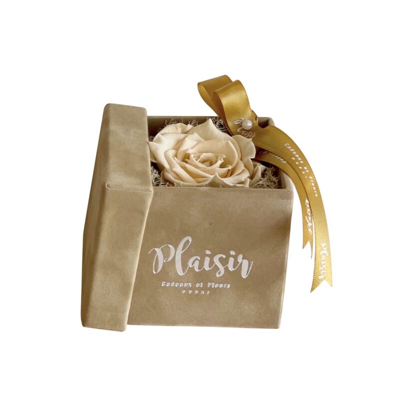 plaisir cadeaux et fleurs giftset freesia fragrance and single infinity