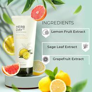 Herbday 365 Master Blending Facial Foaming Cleanser Lemon & Grape Fruit faces herbday 365 master blending facial foaming cleanser lemon grape fruit