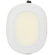 faces البيضاوي المعطر بالورود