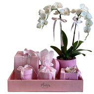 Luxury Giftset Tray faces luxury giftset tray