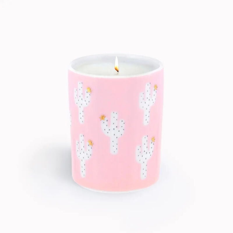 silsal cacti mandarin candle 60g