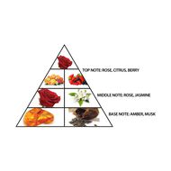 faces l aventure rose