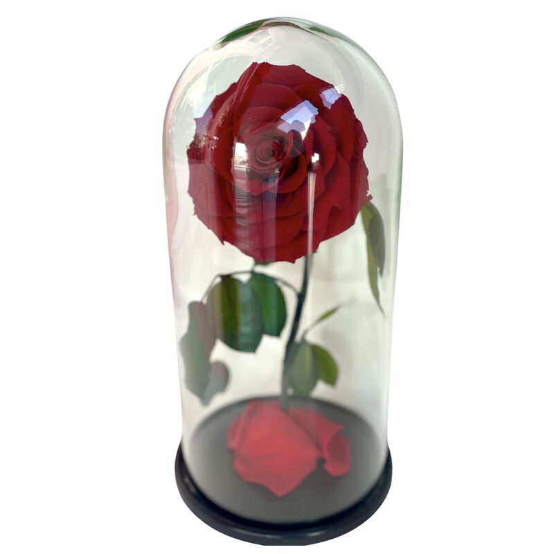 plaisir cadeaux et fleurs forever rose infinity  beauty and the beast