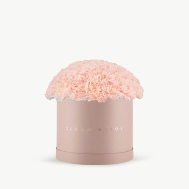 faces pink carnations blush box large