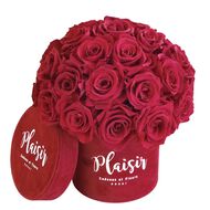 Forever Rose Infinity - Dome Mini faces forever rose infinity dome mini