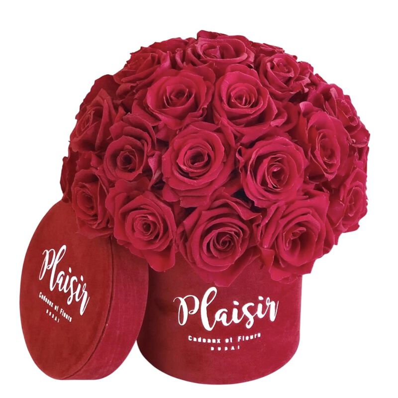 plaisir cadeaux et fleurs forever rose infinity dome mini