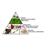 faces l aventure gold