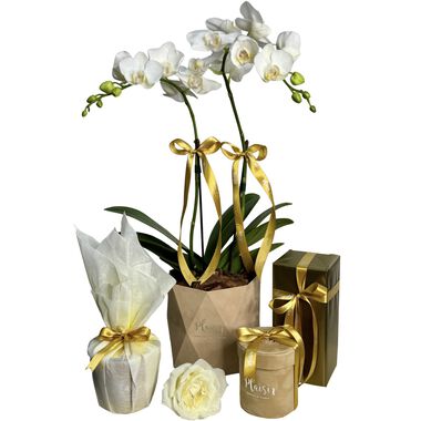 faces giftset   orchids  diffuser  chocolate  candle
