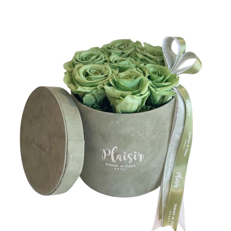 Forever Rose Infinity - Six